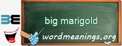 WordMeaning blackboard for big marigold